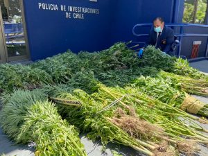 5035d1e3-a460-46db-8f2c-fada3e0fbf97