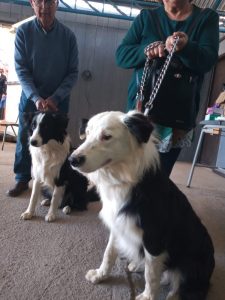 WhatsApp Image 2023-01-11 at 11.00.15