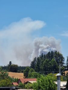 WhatsApp Image 2023-01-11 at 13.50.32