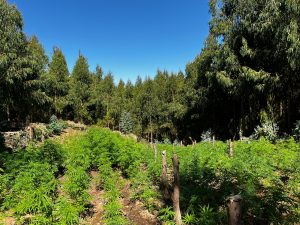 WhatsApp Image 2023-01-13 at 11.22.30