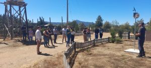 WhatsApp Image 2023-01-13 at 18.45.20