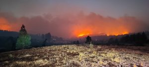 WhatsApp Image 2023-01-14 at 21.44.50