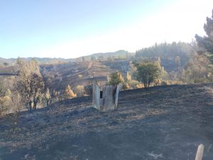 WhatsApp Image 2023-01-29 at 19.51.19