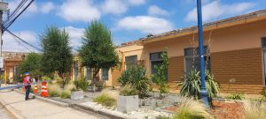 WhatsApp Image 2023-01-29 at 21.35.18