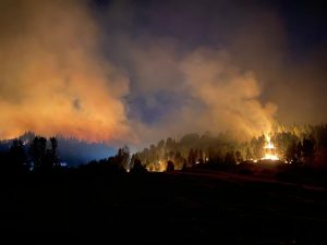 WhatsApp Image 2023-01-29 at 22.59.45