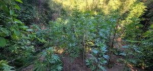 WhatsApp Image 2023-01-30 at 17.55.18