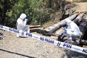 pdi-delitos-medioambientales