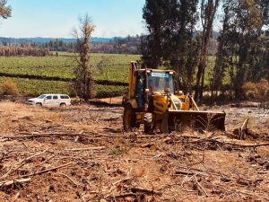 3281b5c0-212f-4022-b9ba-4edee42c4b3e