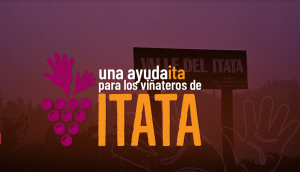 Campaña AyudITA