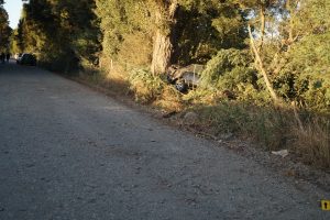 WhatsApp Image 2023-02-27 at 13.58.55