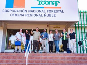 Comité Regional de Restauración -dia de los bosques2