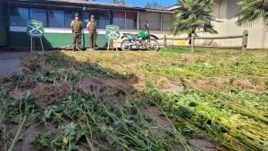 WhatsApp Image 2023-03-08 at 12.29.23