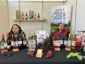 342331533_115092861539622_4741836596177955688_n