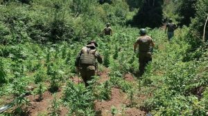 A20745F8-C1F2-445C-BCC9-2F8338760752