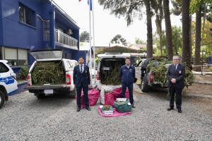 bad3b177-d38e-403c-a0d2-dda99823266b