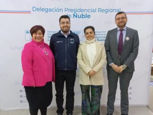 DIRECTORA REGIONAL SENCE ÑUBLE