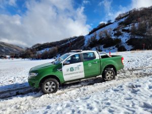 WhatsApp Image 2023-05-31 at 17.52.31