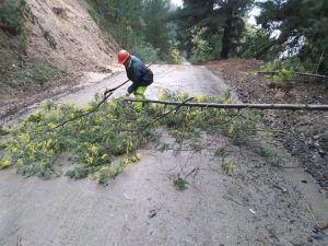 WhatsApp Image 2023-06-23 at 10.34.23