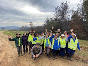 Plantación Ñuble 10