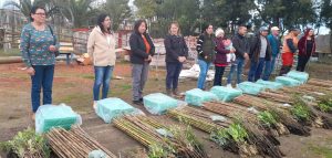 WhatsApp Image 2023-07-19 at 19.01.54