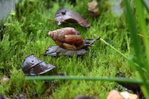 WhatsApp Image 2023-07-26 at 12.06.59