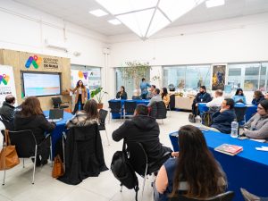 Taller regional de Dignóstico vulnerabilidad1