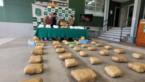 WhatsApp Image 2023-08-01 at 13.49.36