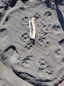 WhatsApp Image 2023-08-06 at 18.09.24