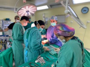 PrimerPocuramientoPielHCHM