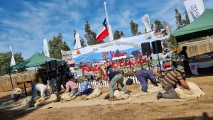 IMG-20221026-WA0101 (2)