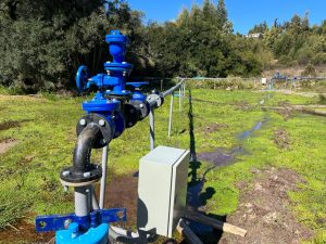 WhatsApp Image 2023-10-02 at 18.52.48