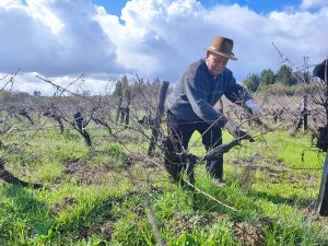 manuel lara viñatero