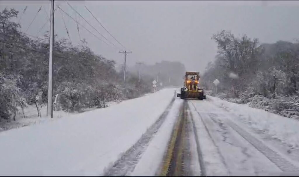 nieve