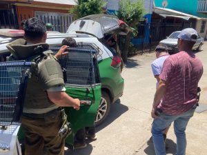 Imagen de WhatsApp 2023-12-09 a las 13.06.46_fb13d238