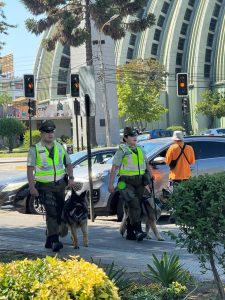 WhatsApp Image 2023-12-30 at 22.32.13