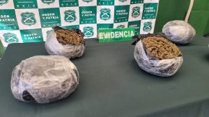 WhatsApp Image 2024-01-22 at 12.37.20