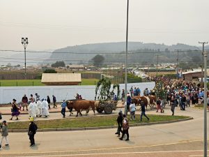 archivo la candelaria