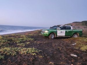 carabineros en la playa
