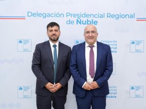 nuevo director sag ñuble