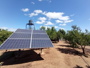 pequeña agricultura