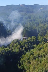 WhatsApp Image 2024-02-08 at 18.44.24