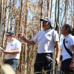 PDI Ñuble despliega fuerza de tarea para investigar incendios forestales