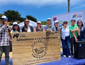 rinconada sin plastico