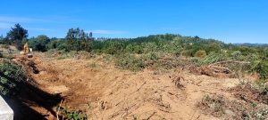 430128399_707246074907419_1619076255309661420_n