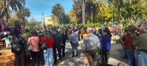 DOMINGO DE RAMOS SEMANA SANTA