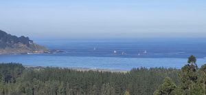 WhatsApp Image 2024-03-22 at 12.12.07