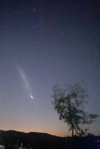 WhatsApp Image 2024-03-26 at 20.54.57