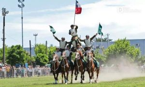 cuadro verde carabineros