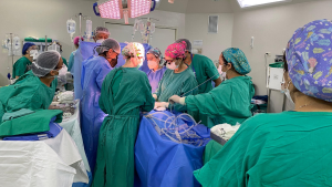 pprimer procuramiento