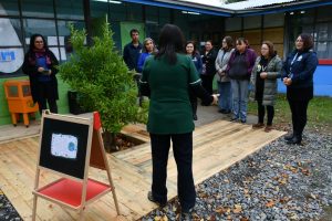 JI EL TRIGAL NINHUE - FNDR 5